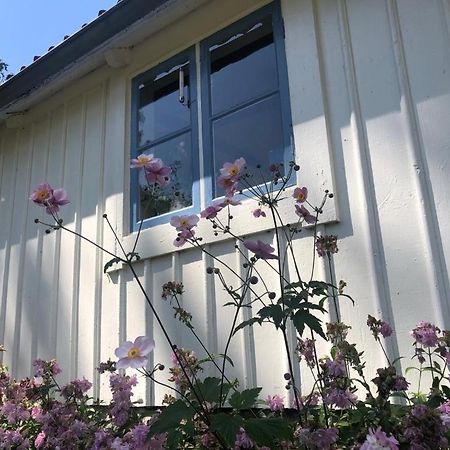Seaside Cottage Haga Park Frobygarda المظهر الخارجي الصورة