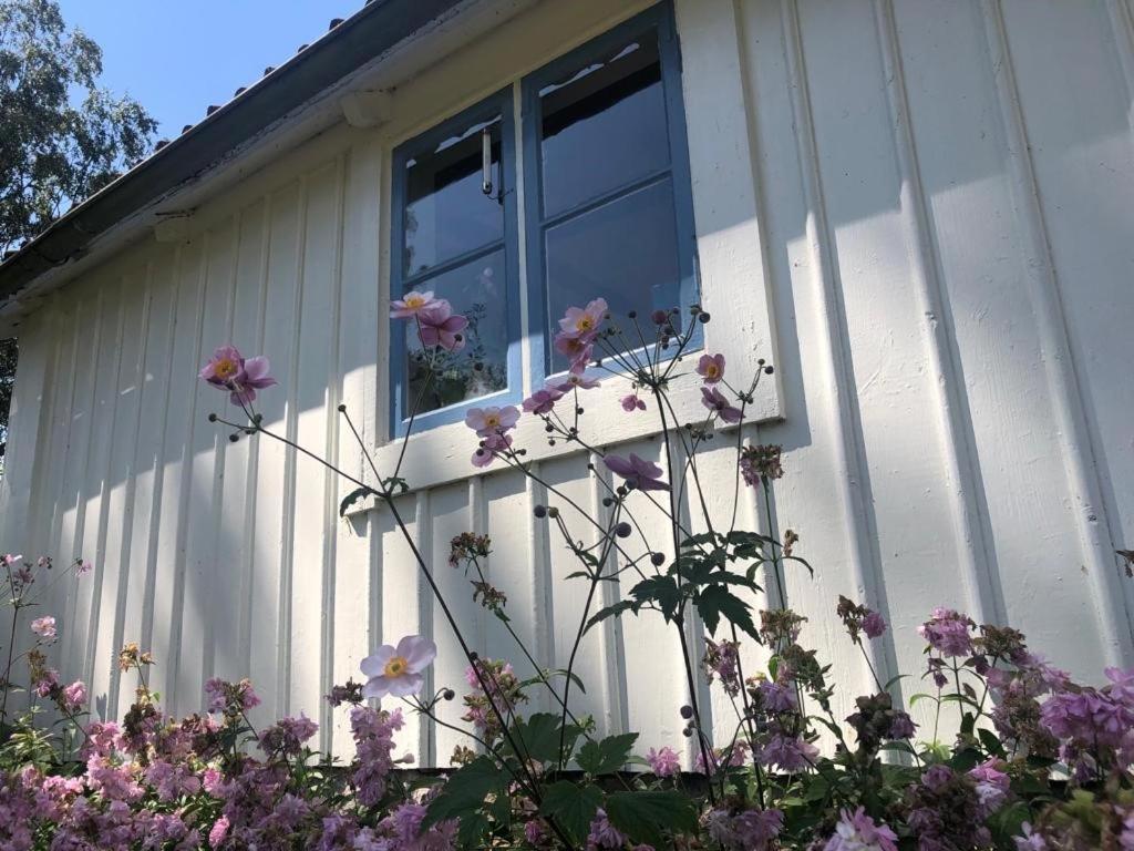 Seaside Cottage Haga Park Frobygarda المظهر الخارجي الصورة